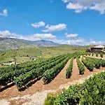 Douro Valley Luxury Villa