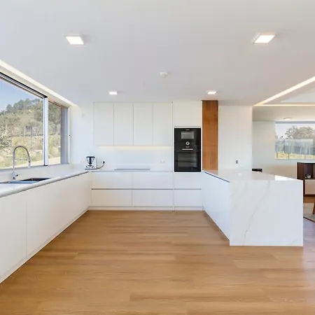 Villa Douro Valley Luxury With Vineyard And Infinity Pool