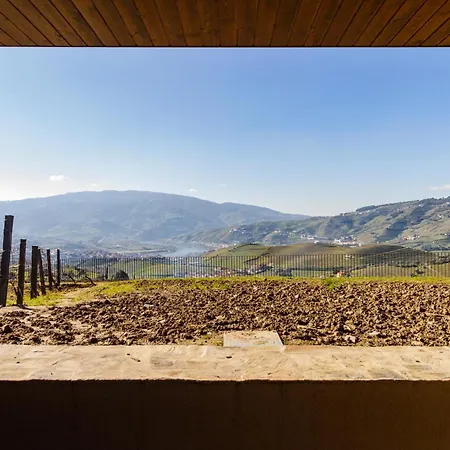 Вилла Douro Valley Luxury With Vineyard And Infinity Pool *