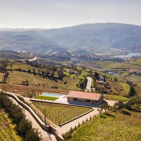 Douro Valley Luxury With Vineyard And Infinity Pool *