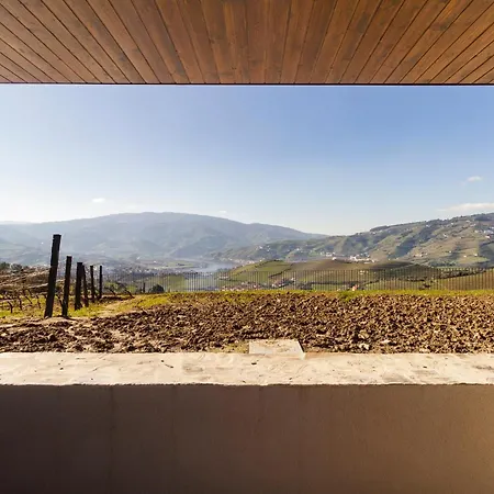 Вилла Douro Valley Luxury With Vineyard And Infinity Pool *