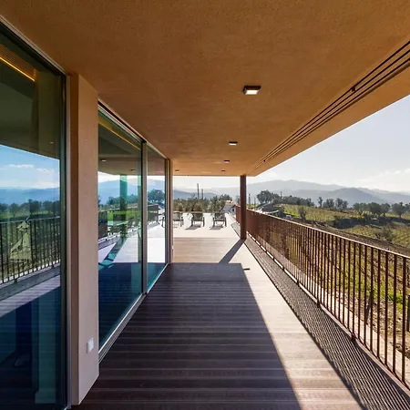 Douro Valley Luxury With Vineyard And Infinity Pool Санта-Марта-ди-Пенагиан