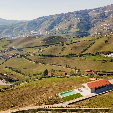 别墅 Douro Valley Luxury With Vineyard And Infinity Pool *