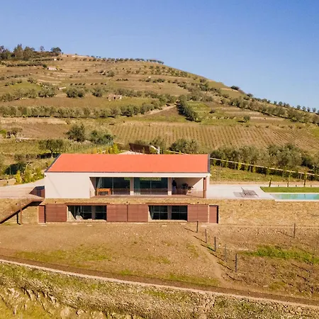 Douro Valley Luxury With Vineyard And Infinity Pool Вилла Санта-Марта-ди-Пенагиан