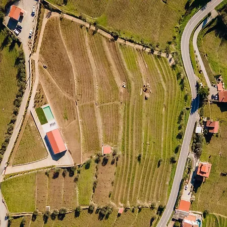 Douro Valley Luxury With Vineyard And Infinity Pool Villa *