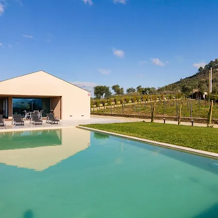 Douro Valley Luxury With Vineyard And Infinity Pool * Санта-Марта-ди-Пенагиан