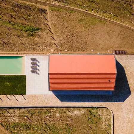 Douro Valley Luxury With Vineyard And Infinity Pool * Санта-Марта-ди-Пенагиан