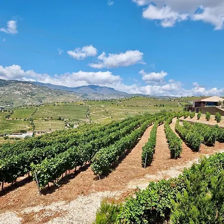 Douro Valley Luxury With Vineyard And Infinity Pool Вилла