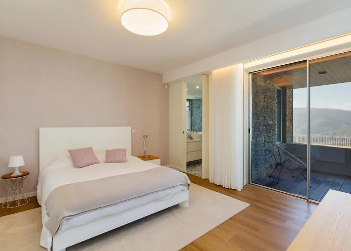 Douro Valley Luxury With Vineyard And Infinity Pool Villa *
