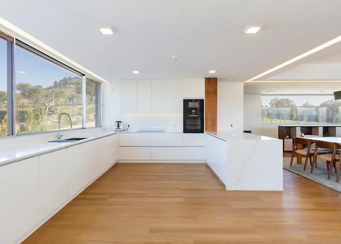 Villa Douro Valley Luxury With Vineyard And Infinity Pool