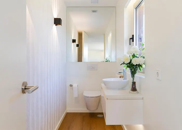 Douro Valley Luxury With Vineyard And Infinity Pool Villa