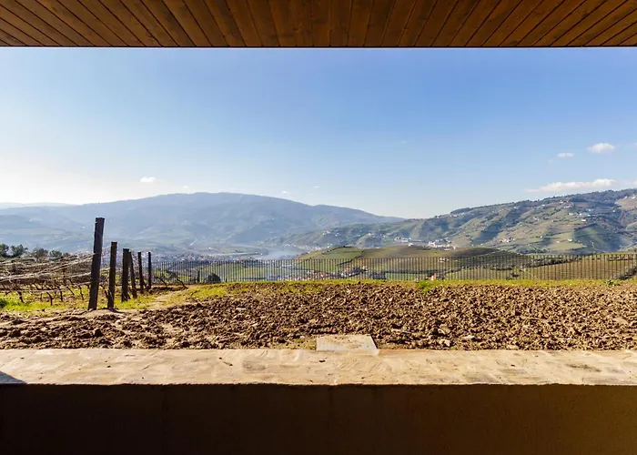 Villa Douro Valley Luxury With Vineyard And Infinity Pool *