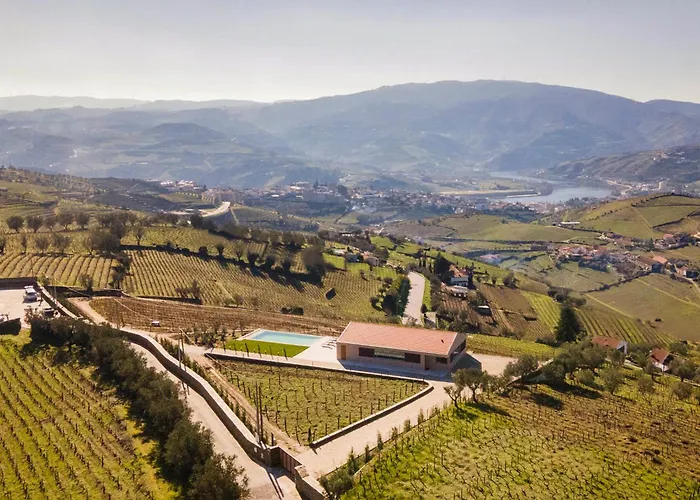Douro Valley Luxury With Vineyard And Infinity Pool *