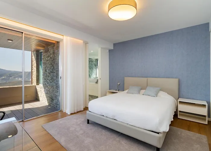 Douro Valley Luxury With Vineyard And Infinity Pool Villa