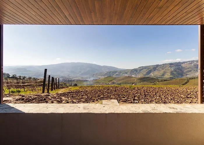 Villa Douro Valley Luxury With Vineyard And Infinity Pool *