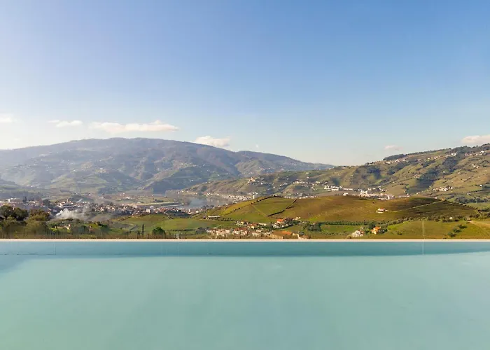 Douro Valley Luxury With Vineyard And Infinity Pool *