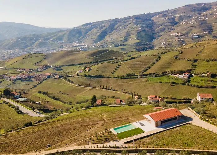 Villa Douro Valley Luxury With Vineyard And Infinity Pool *