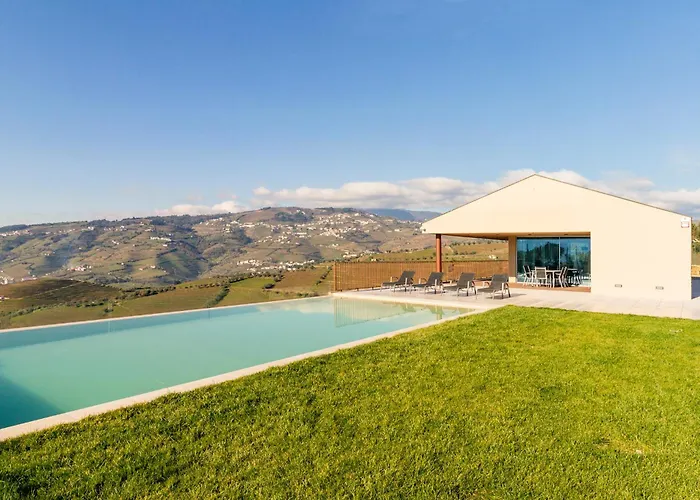 Douro Valley Luxury With Vineyard And Infinity Pool Villa