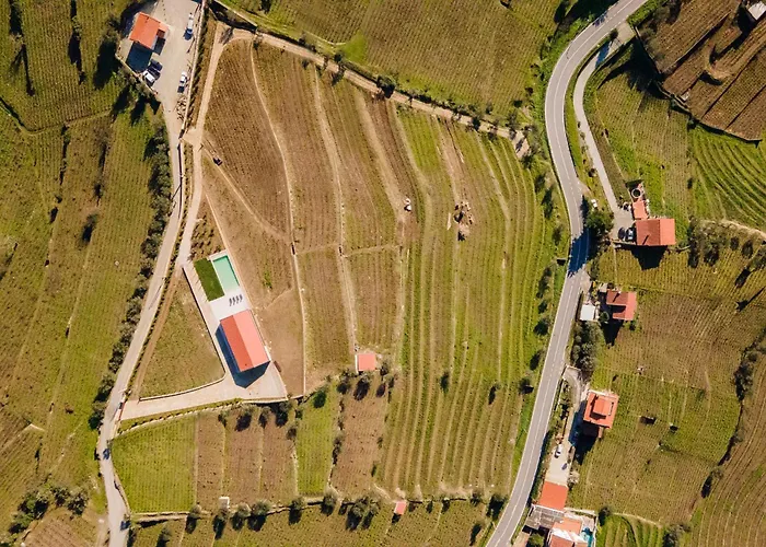 Douro Valley Luxury With Vineyard And Infinity Pool Villa *