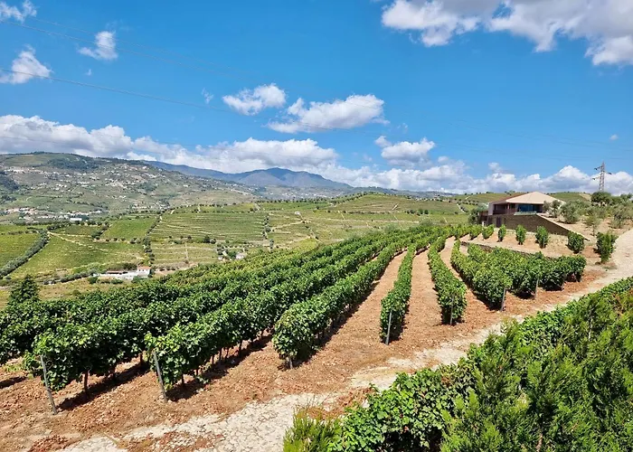 Douro Valley Luxury With Vineyard And Infinity Pool Villa